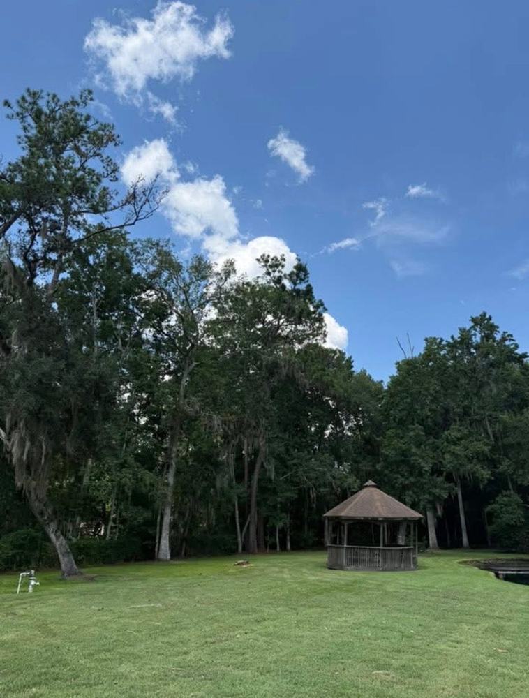 After: Emergency Tree Services